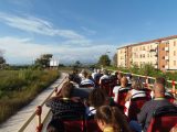 ROMBI ALLO SCOGLIO IN BATTELLO - 30 AGOSTO 2014
