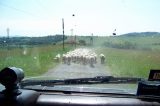 4x4 Sulle COLLINE PISANE - 27 MAGGIO 2012